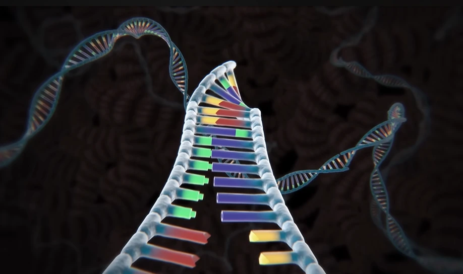 CRISPR-Cas9 Technology